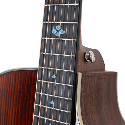 TYMA TG-5CE BRS Cutaway Elektro Akustik Gitar